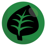 Grass Energy